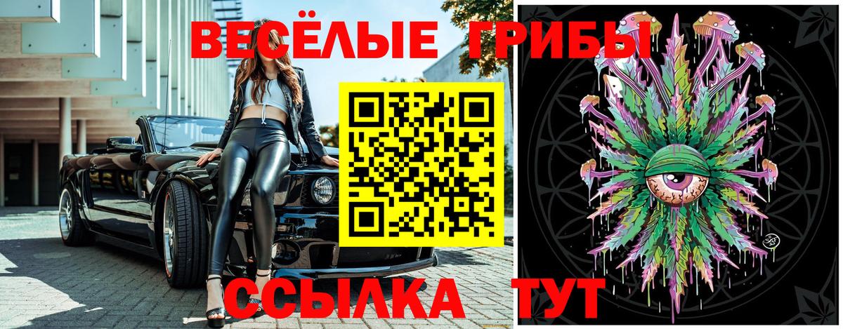 Псилоцибиновые грибы GOLDEN TEACHER Лесосибирск
